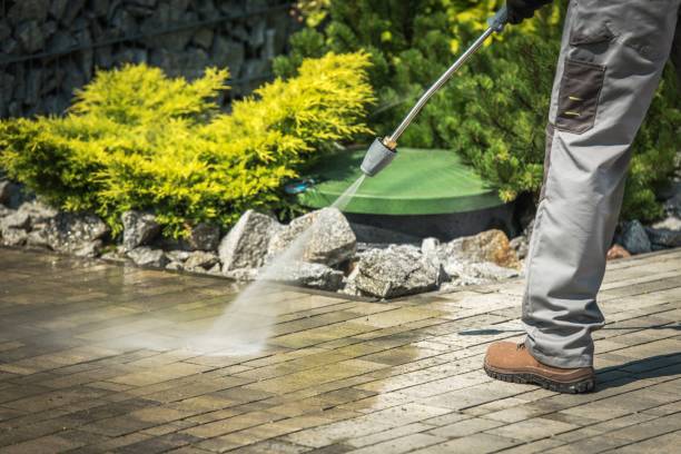 Trusted La Blanca, TX Pressure Washing Services Experts